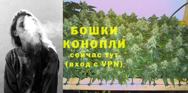 тгк Касимов