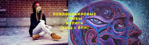 МДМА Карпинск