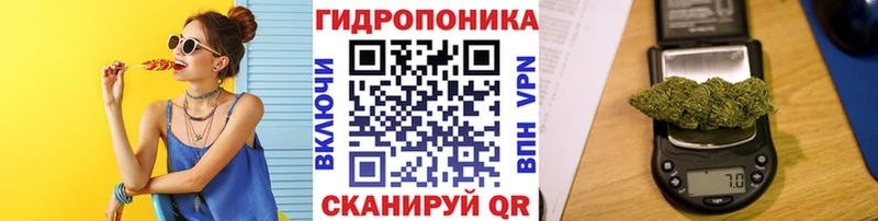 купить   Первоуральск  Канабис семена 